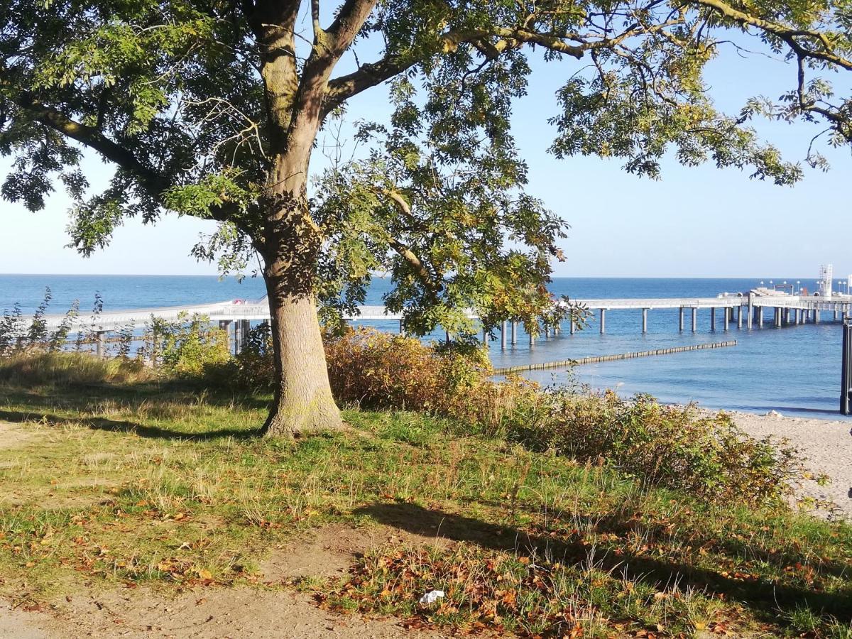 Ostseetraum Koserow Exteriér fotografie